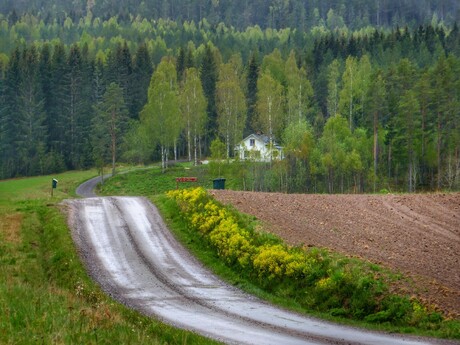 Lasse Rydingswärd